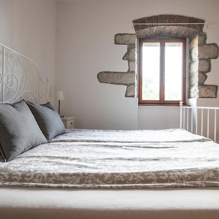 Old Town Studio And Apartment Vrsar Dış mekan fotoğraf